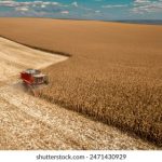 探索澳门狮子会网址的活动与服务信息 2xl6f9nall