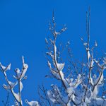 探索真钱捕鱼的乐趣与技巧,赢取丰厚奖励 49i2c