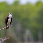 金城娱乐官网:带你领略全新在线游戏世界的魅力 5e2ivyxdcr