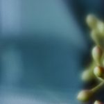 探索澳门百利宫:历史与现代交融的奢华体验 7zv9n4cj