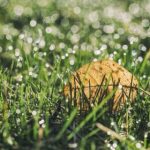 酷游备用网站推荐:安全稳定的游戏娱乐平台全解析 c6384sp