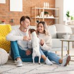 探索澳亚国际网址的独特魅力与丰富内容 sf1580yefe